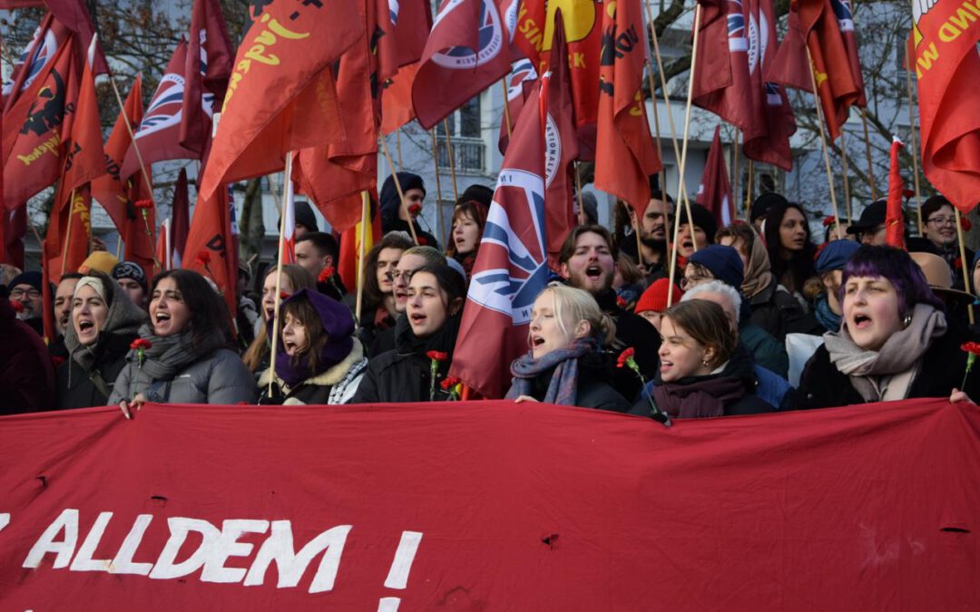 Unser Programm auf der Rosa-Luxemburg-Konferenz